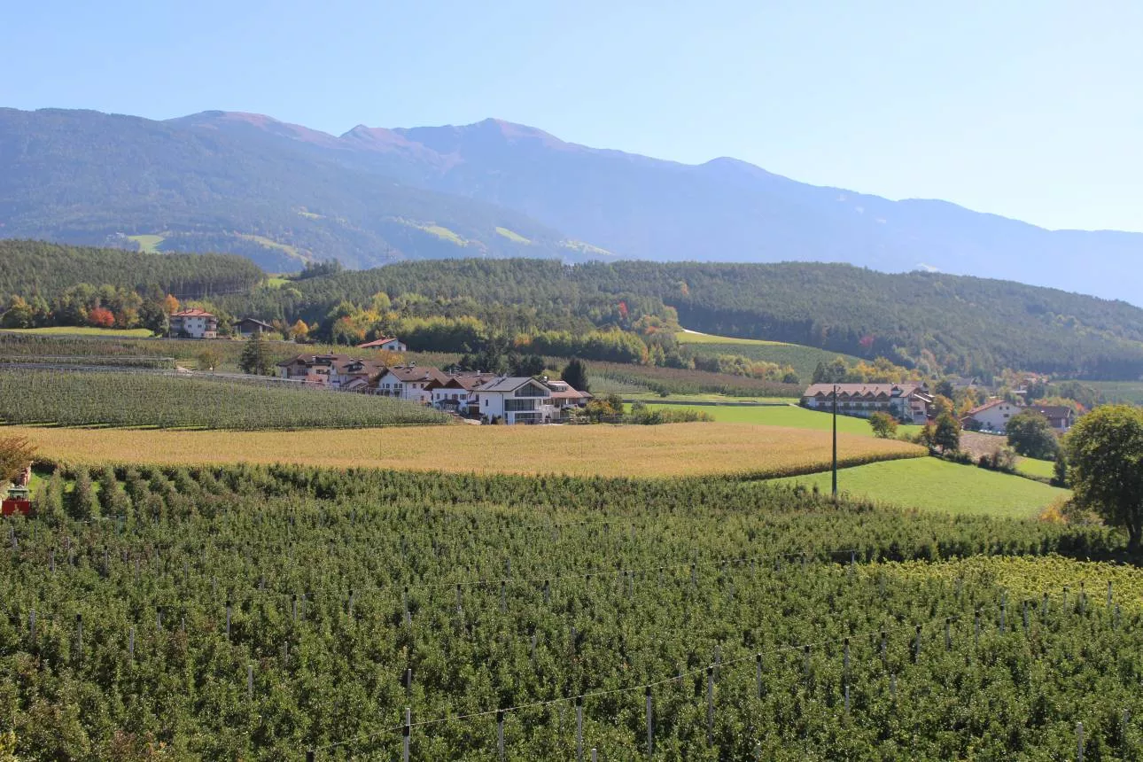 Weinberg Apartments, Panorama Süd-Ost